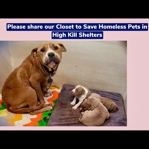 Sterling plated 18” chain with a St. Saint Francis medal and crucifix - Charity. - Picture 9 of 11